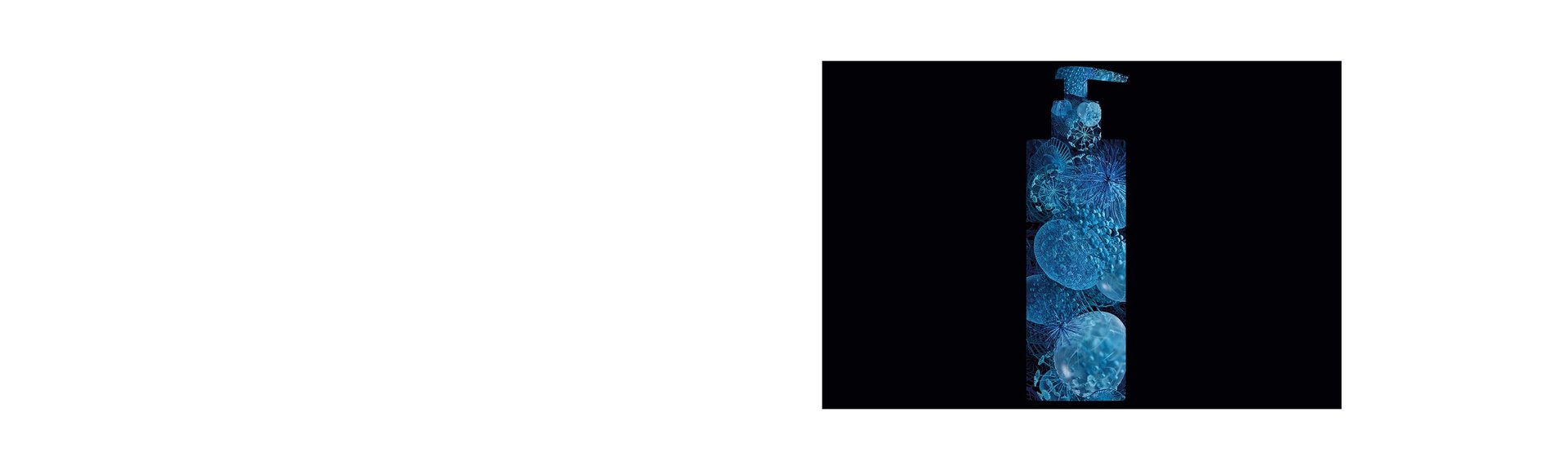 banner lipikar